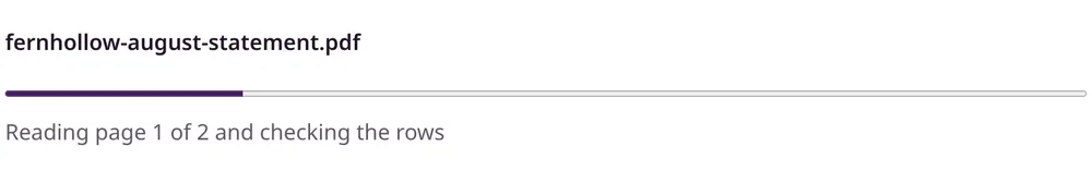 Progress bar while the bank statement converter reads each page and checks the rows